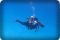 th:announcement:news:2014_news:25571229_save_sea:006.jpg