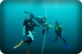 th:announcement:news:2014_news:25571229_save_sea:007.jpg